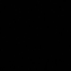 Meet your Posher, Cam